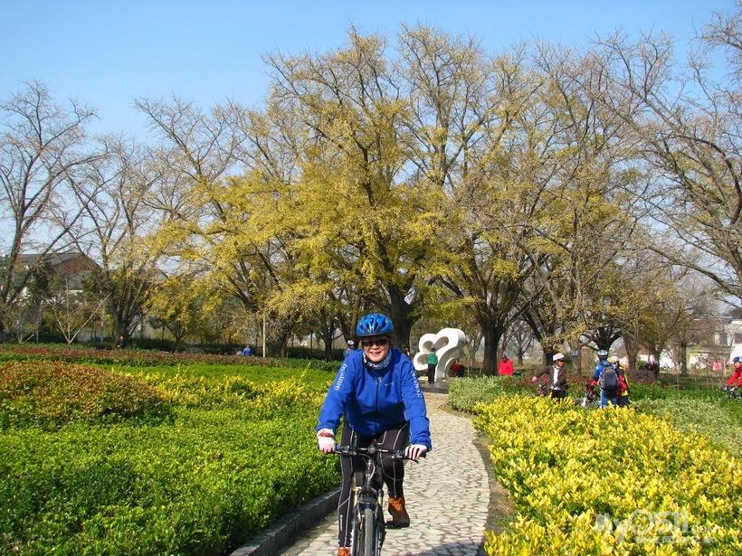 宣堡打造银杏生态特色田园乡村