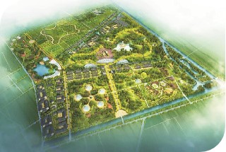 滨海现代农业产业园区规划